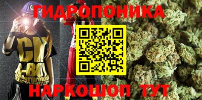 apvp Коммунар